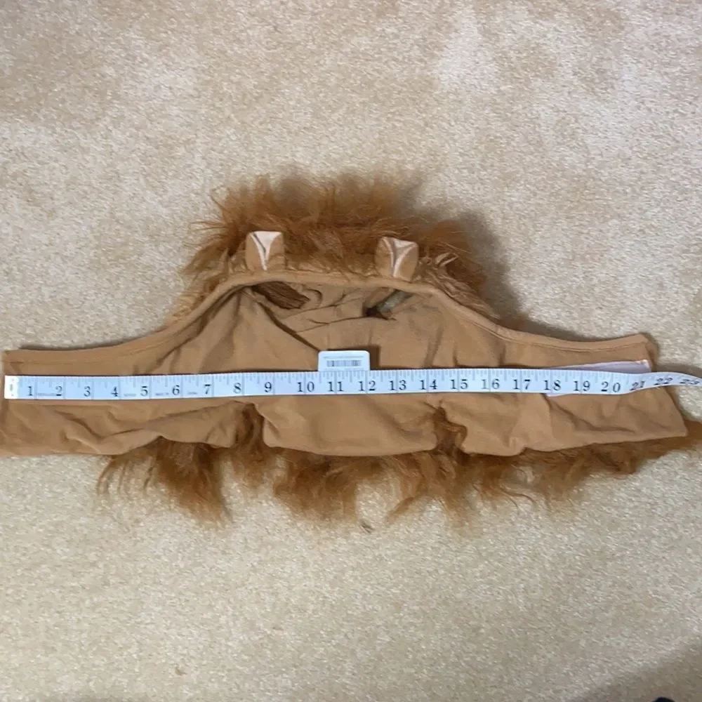 Lion Ruff Dog Costume